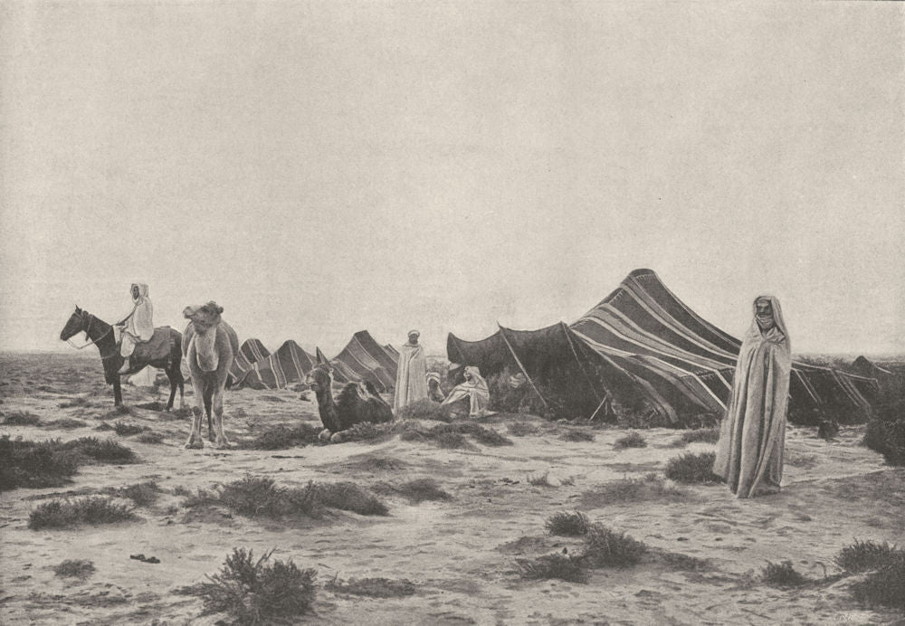 ALGERIA. Campement Désert 1895 old antique vintage print picture